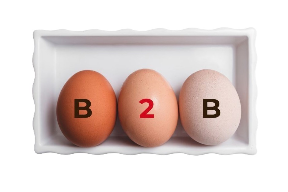 Velkoodběr kuřic na snášku – B2B spolupráce